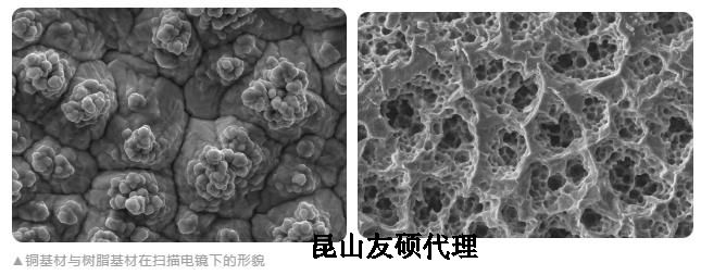 郴州蔡司郴州扫描电镜